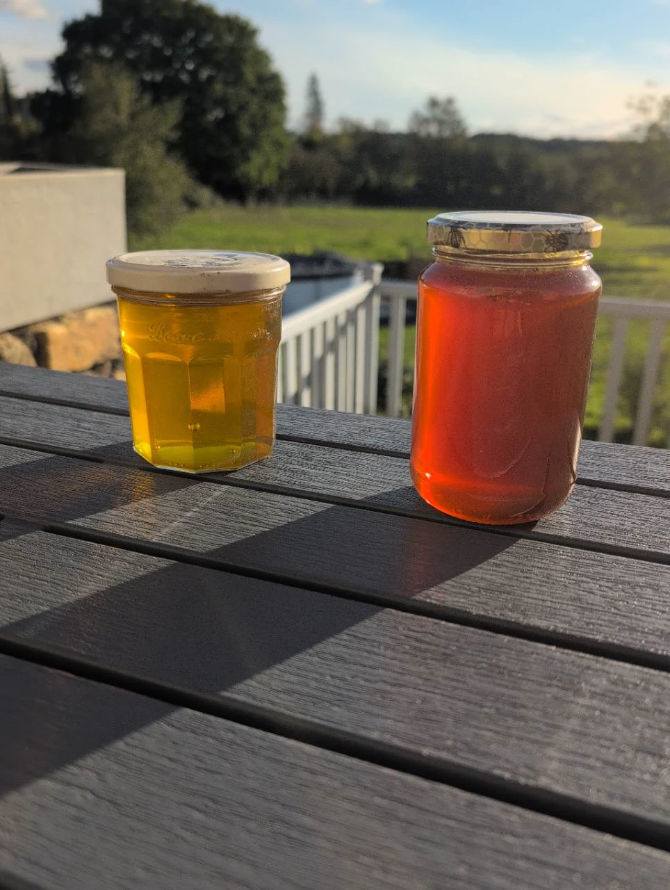 Les deux pots de miel de Kévin sur une table en bois, à la lumière naturelle.